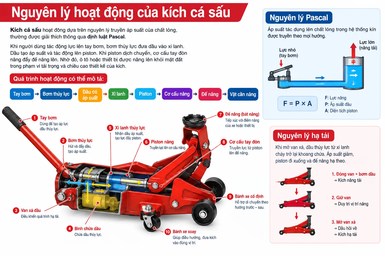 nguyen-ly-hoat-dong-kich-ca-sau.webp